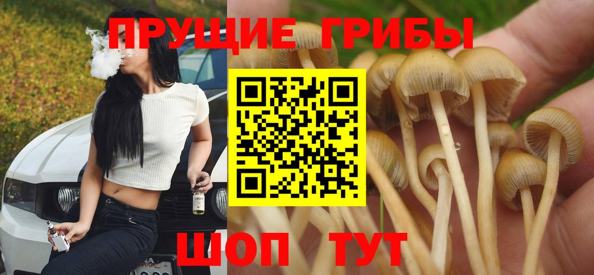 Псилоцибиновые грибы мицелий  Псилоцибиновые грибы MAGIC MUSHROOMS  Вход с VPN  Лесной 